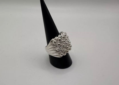 Silver Keeper Ring 5 Row
